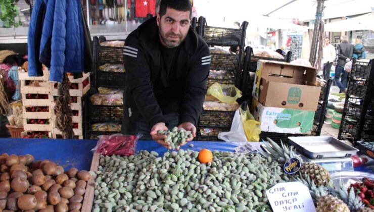 Aydın’da çağla, kilosu 70 liradan tezgahlara indi