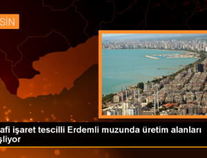 Faziletli Muzunun Üretim Alanı İki Katından Fazla Arttı