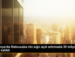 Japonya’da Matsusaka ırkı sığır 30 milyon yene satıldı