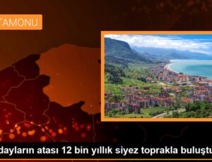 Buğdayların atası 12 bin yıllık siyez toprakla buluştu