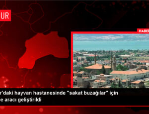 MAKÜ Hayvan Hastanesi, sakat doğan buzağıların tedavisinde tekerlekli araç kullanacak