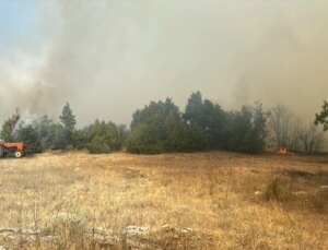 Kütahya’da çıkan orman yangını denetim altına alındı