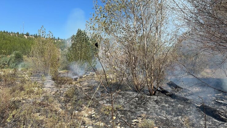 Burdur’da Ormanlık Alanda Çıkan Ot Yangını Söndürüldü