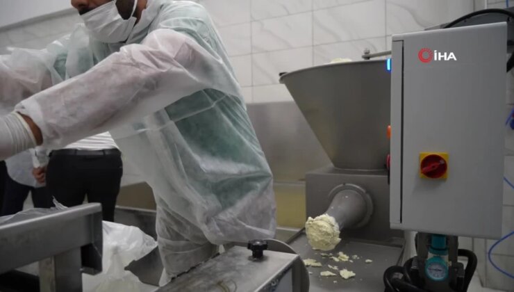 Erzincan’da tescilli tulum peyniri satışı artacak