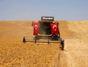 Halfeti’de Safir Bitkisiyle Kuraklığa Tahlil