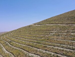 Iğdır’da teraslama yoluyla orman varlığı artırılıyor