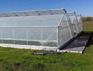 Konya Beyşehir’de Seracılık Yapmak İsteyen Çiftçilere Devlet Dayanağı