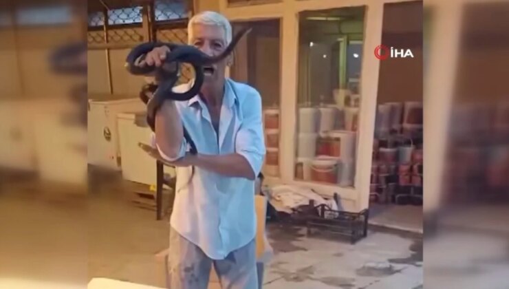 Koynunda beslediği yılanlar bu türlü ısırdı