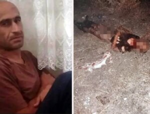 Sokak köpekleri parçalayarak öldürmüştü! Bahtsız adamın yaşadığı vahşet hastane raporunda