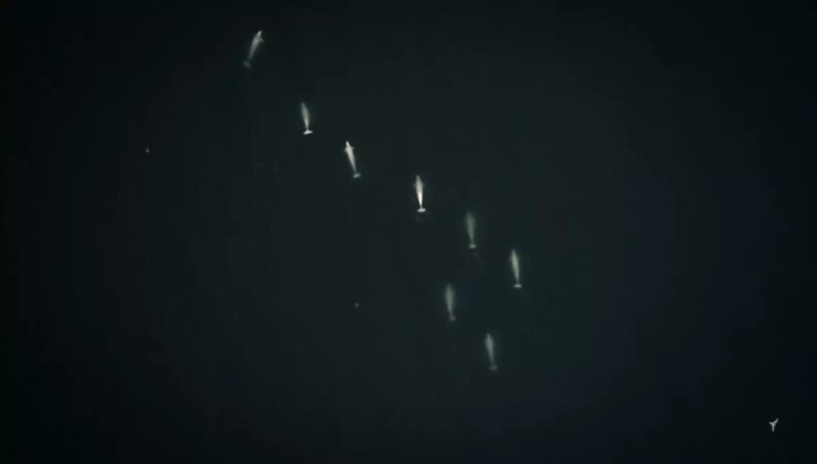 Türk Bilim İnsanları Arktik Okyanusu’ndaki Deniz Memelilerini Gözlemledi