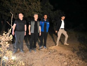 Uşak’ta çıkan yangınlar Vali Ergün tarafından incelendi