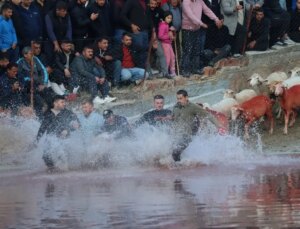 Burdur’da 7 asırlık gelenek: Yünüm Böğet