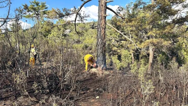 Burdur’da Orman Yangını Denetim Altına Alındı