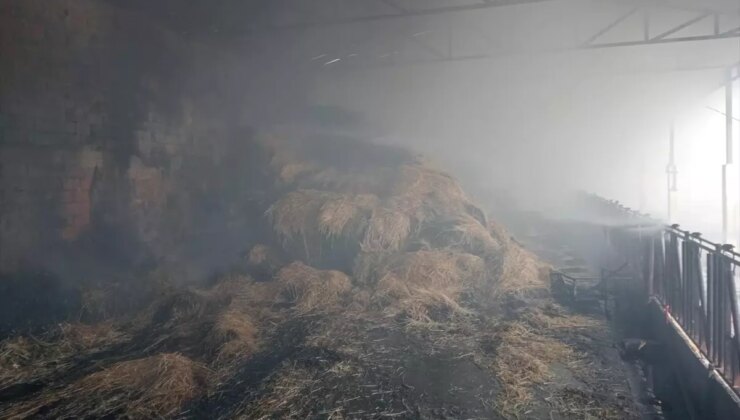 Burdur’da Samanlık Yangını: 250 Balya Ziyan Gördü