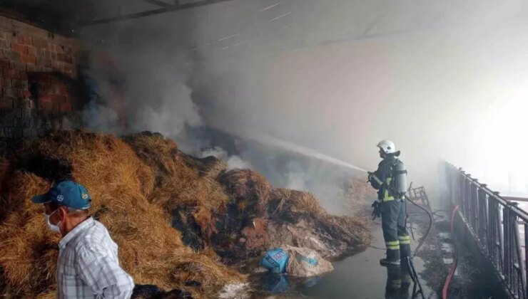 Burdur’da Samanlıkta Yangın: 250 Balyaya Ziyan