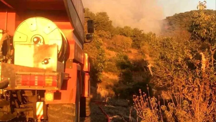 Gazipaşa’da Orman Yangını Kısa Müddette Söndürüldü