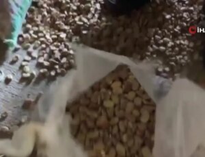 Kaçakçılığa Büyük Darbe: 120 Milyonluk Eşya ve Uyuşturucu Ele Geçirildi