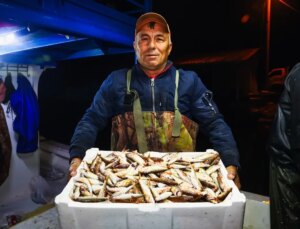 Kocaali’de Bol Tekir Avı