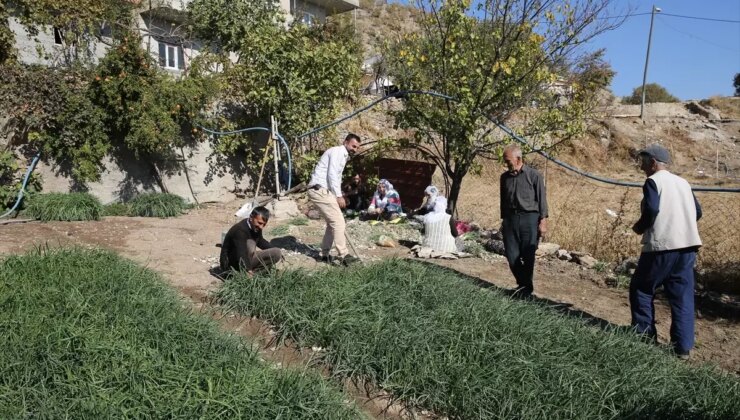 Ulaştı Köyü’nde Seracılık Muvaffakiyet Kıssası