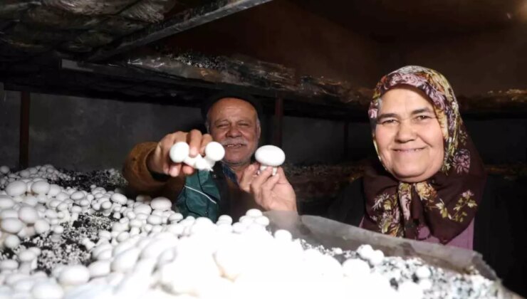Emekli Bayan Mantar Yetiştiriciliğine Başladı