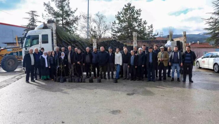 Büyükşehirle kırsal büyüyor, çiftçi güçleniyor