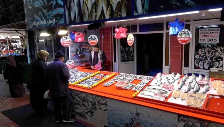 Bolu’da Balık Fiyatları Düştü