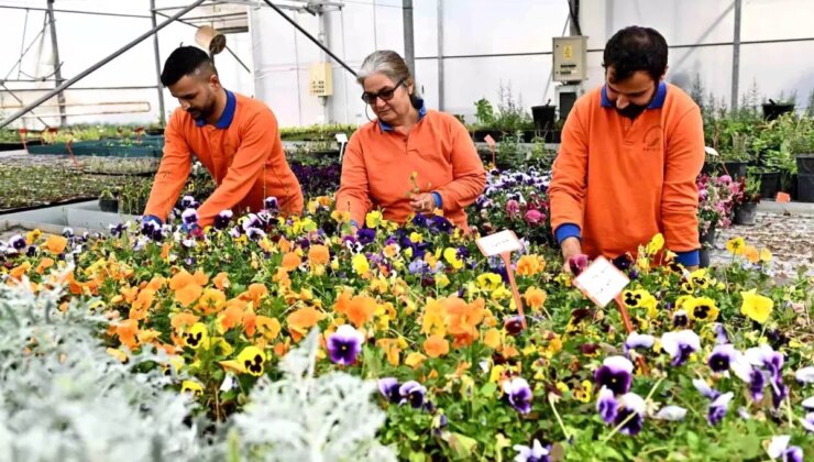 Muratpaşa’dan örnek bitki üretim modeli