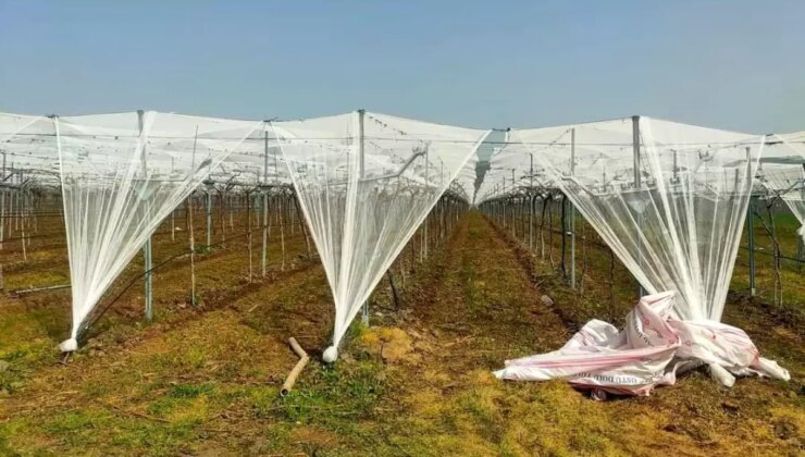 Sarıgöl’de Üzüm Bağları Doluya Karşı Korunuyor