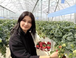 Tarsus’ta topraksız tarımda birinci çilek hasadı yapıldı