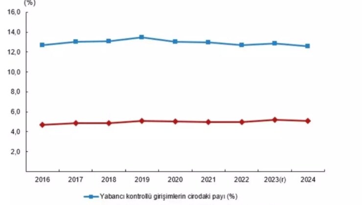 Yabancı Denetimli Teşebbüsler 2024 Raporu