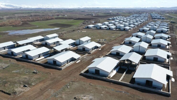 Ağrı’da Çağdaş Hayvancılık Projesi Tamamlanıyor