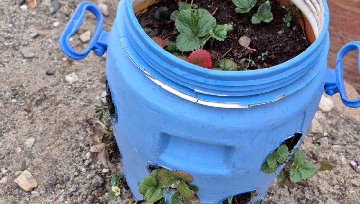 Atık Materyallerle Randıman Artışı