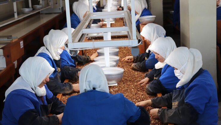 Bayanlar Fındık İhracatında Öne Çıkıyor