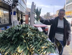 Doğal Antibiyotik: Çiriş Otu Tezgahlarda!
