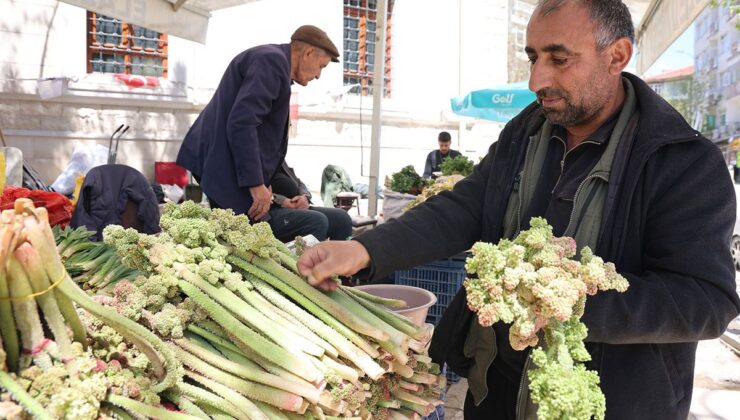 Doğu’nun vitamin deposu muzu ‘ışkın’ tezgahlarda yerini aldı
