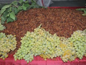 Kuru Meyve İhracatı 404 Milyon Dolar