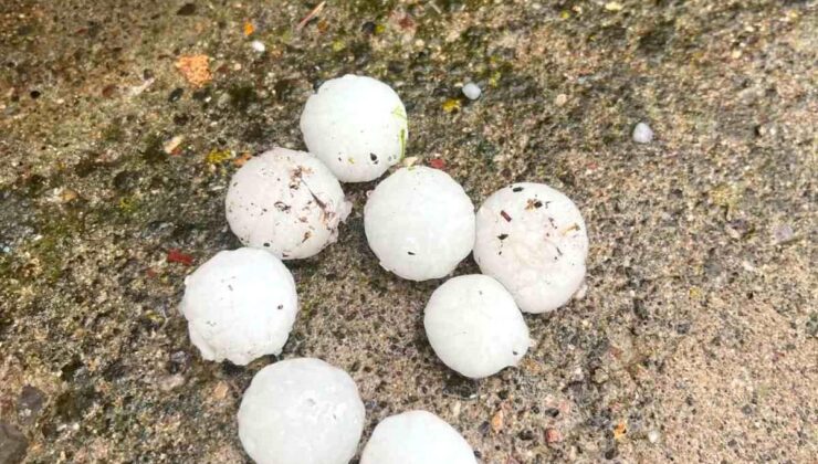 Ceviz büyüklüğünde yağan dolu ağaçlara ziyan verdi