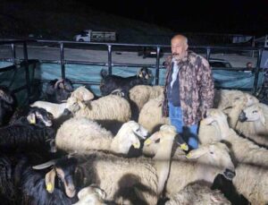Elazığ’da Kurban Pazarı Hareketliliği