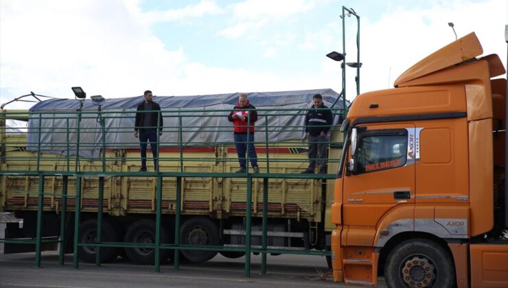 Erzurum’da Kurbanlık Hayvan Denetimleri Artırıldı