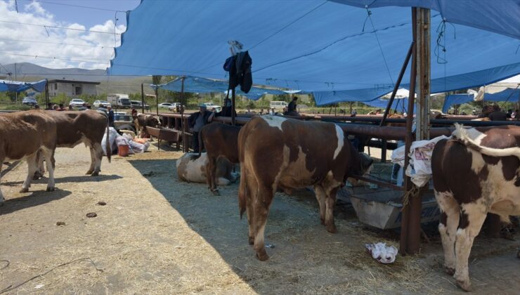 Kurban Bayramı Arifesinde Hayvan Pazarında Hareketlilik