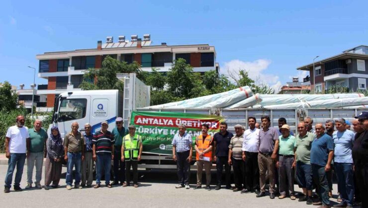 Büyükşehir’den Gazipaşalı üreticilere naylon dayanağı