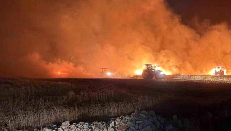 Mazıdağı’nda dün gece çıkan yangında ekili yerler ziyan gördü