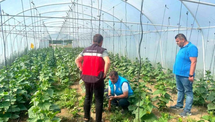 Tavşanlı’da Cezaevi Serası Kontrolü