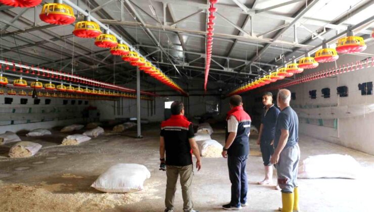 Erzincan’da Broiler İşletmesi İncelendi