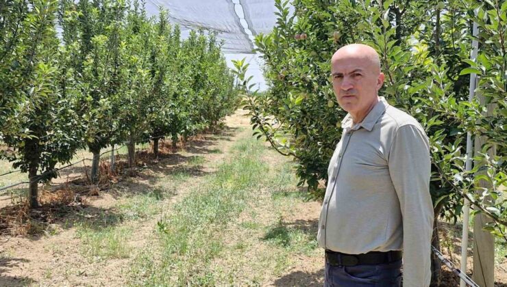 Karaman Üreticileri Dolandırıcılara Karşı Uyarıldı