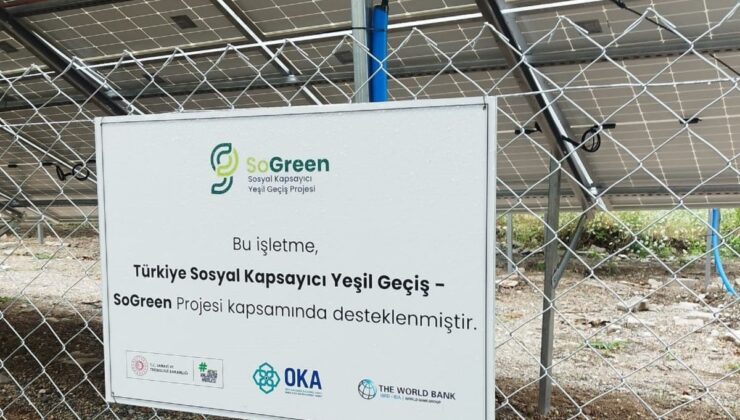 Niksar’da Sürdürülebilir Ceviz Projesi