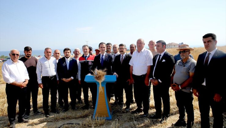 Bitlis’te Buğday Hasadı Devam Ediyor