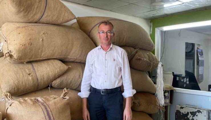 Fındıkta Erken Hasat Uyarısı