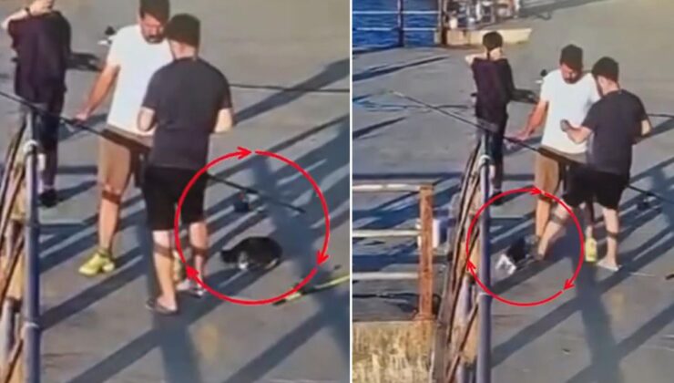 Üsküdar’da kediye tekme atıp denize düşürdü! Etraftakiler reaksiyon gösterdi
